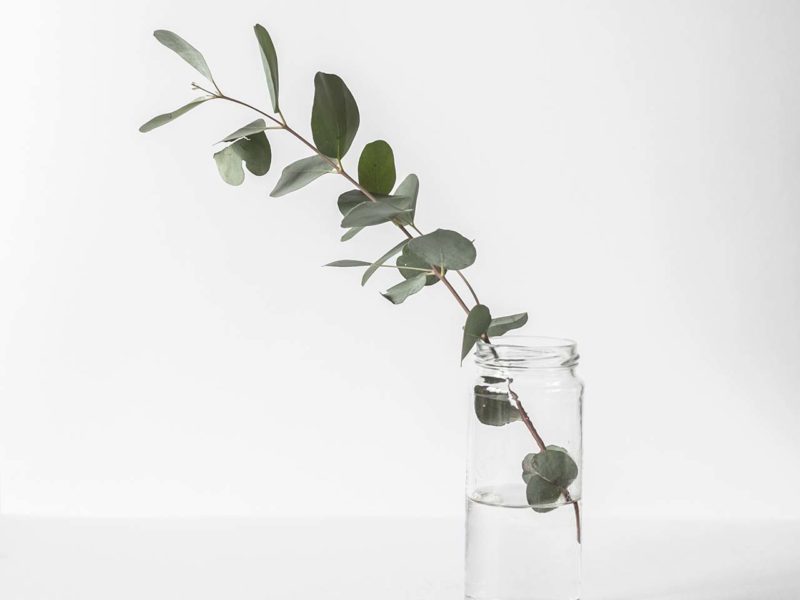 Yvy — Blog/Magazine WordPress Theme