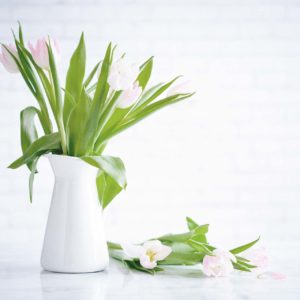 Image in a lightbox