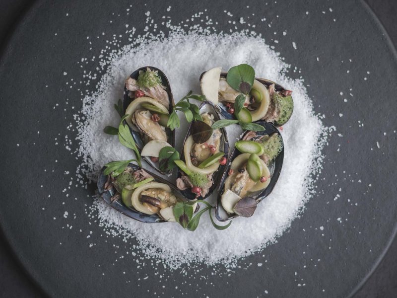 Yvy — Blog/Magazine WordPress Theme