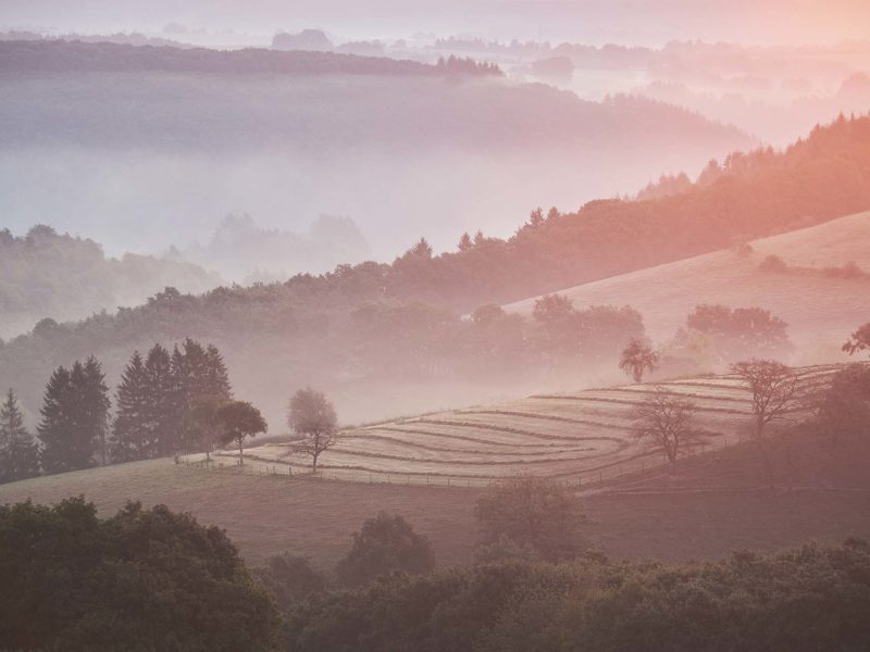 Yvy — Blog/Magazine WordPress Theme